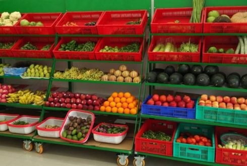 Freshness Delivered: How Our Wholesale Fruits & Vegetables Stand Out